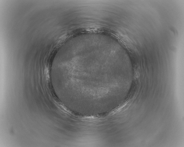 X0000115281106200911272001