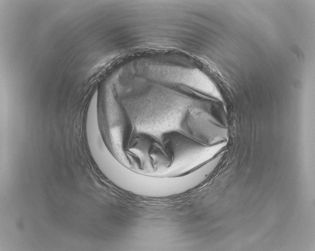 X0000115281110200911272001