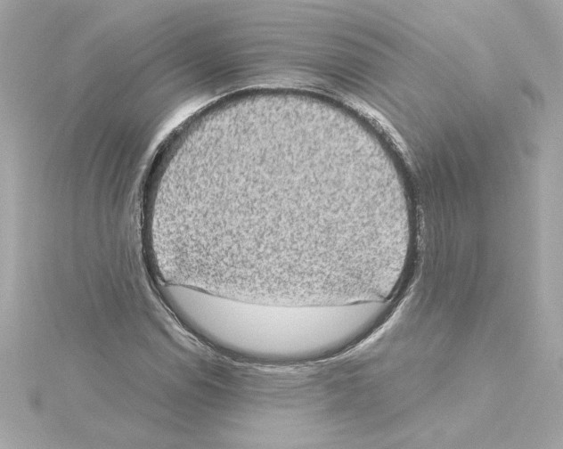 X0000115281114200911272001