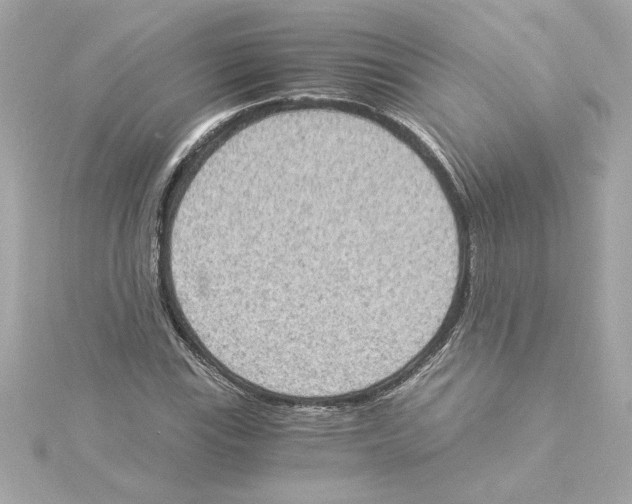 X0000115281115200911272001