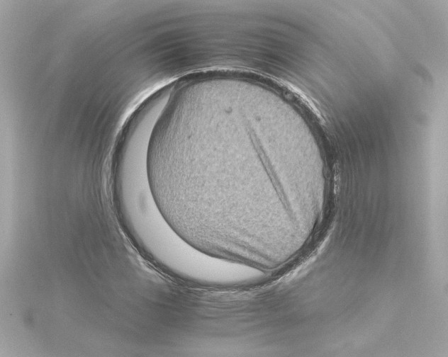 X0000115281117200911272001