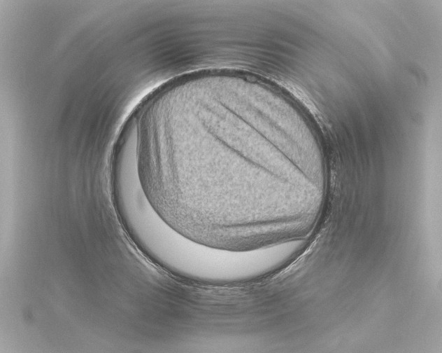 X0000115281119200911272001