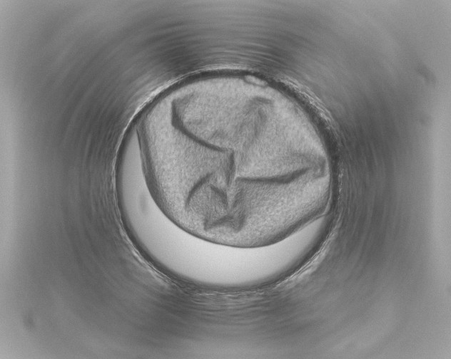 X0000115281121200911272001