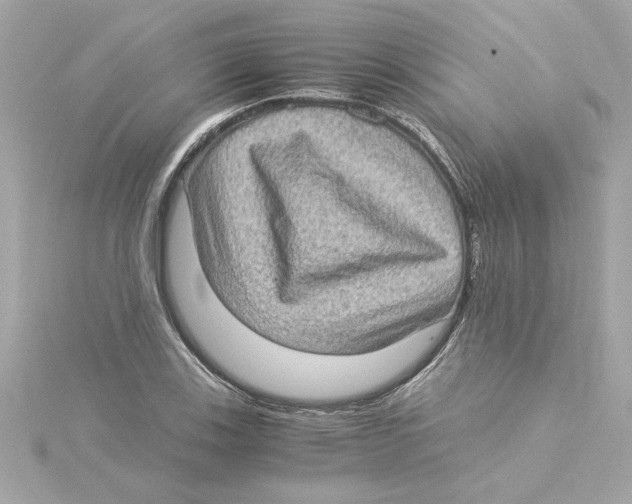 X0000115281123200911272001