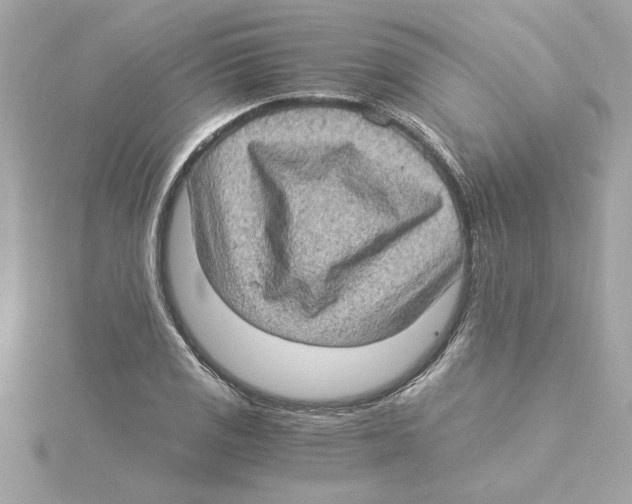 X0000115281125200911272001