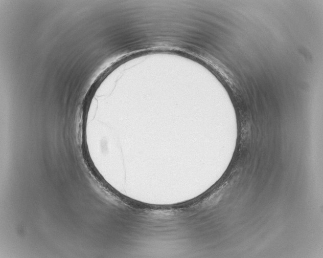 X0000115281126200911272001