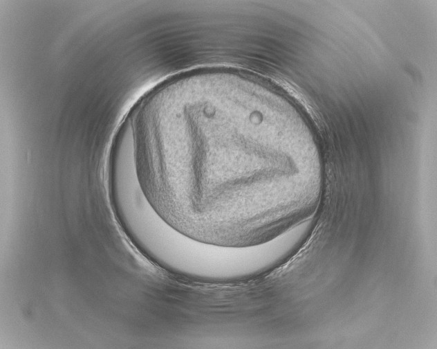 X0000115281127200911272001