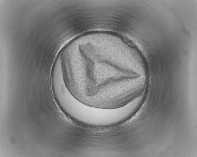 X0000115281129200911272001