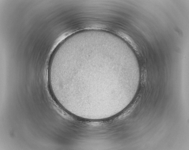 X0000115281130200911272001