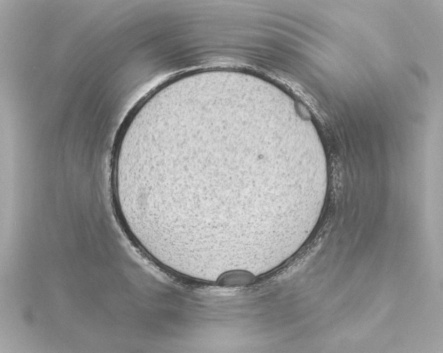 X0000115281134200911272001