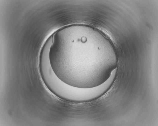 X0000115281135200911272001