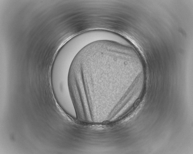 X0000115281137200911272001