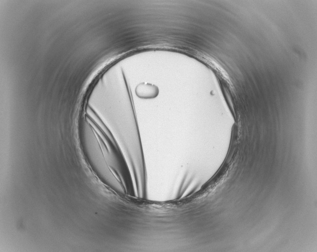 X0000115281138200911272001