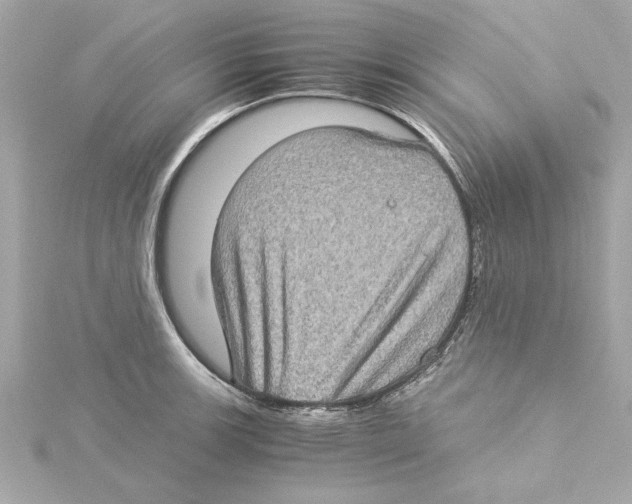 X0000115281139200911272001