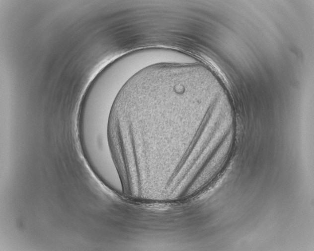 X0000115281141200911272001