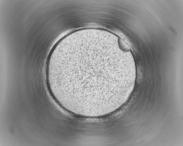 X0000115281142200911272001