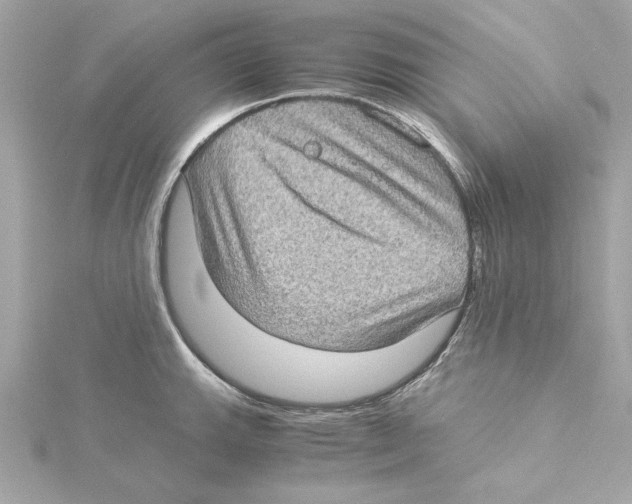 X0000115281143200911272001