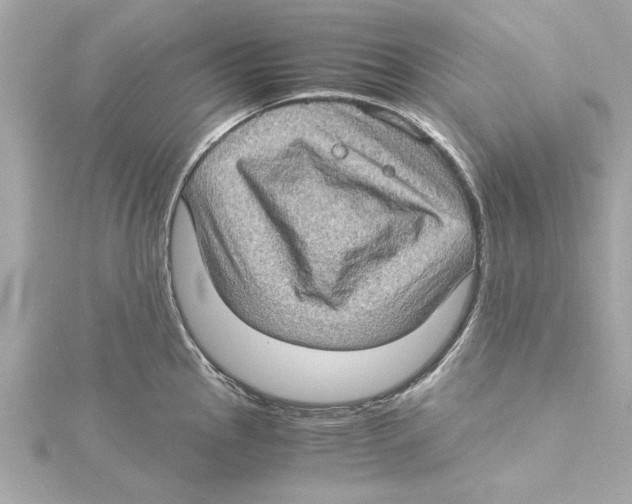 X0000115281145200911272001