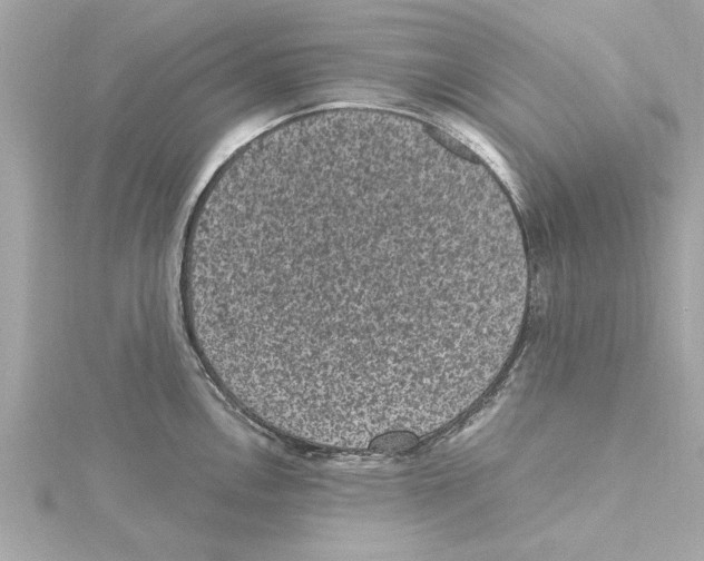 X0000115281146200911272001