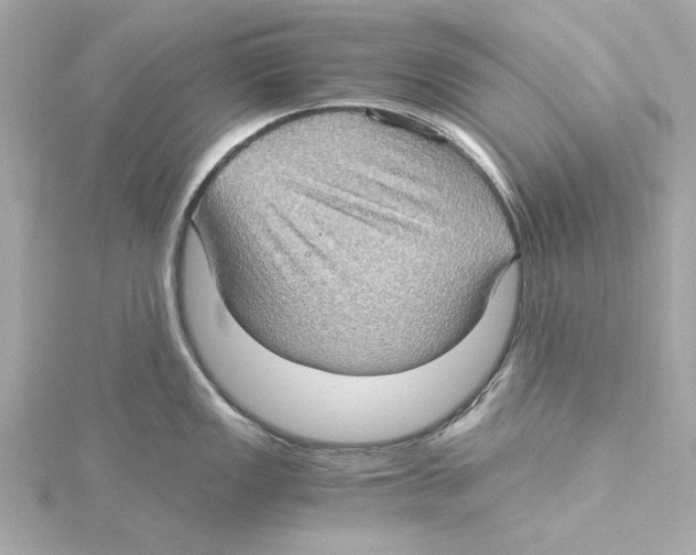 X0000115281149200911272001