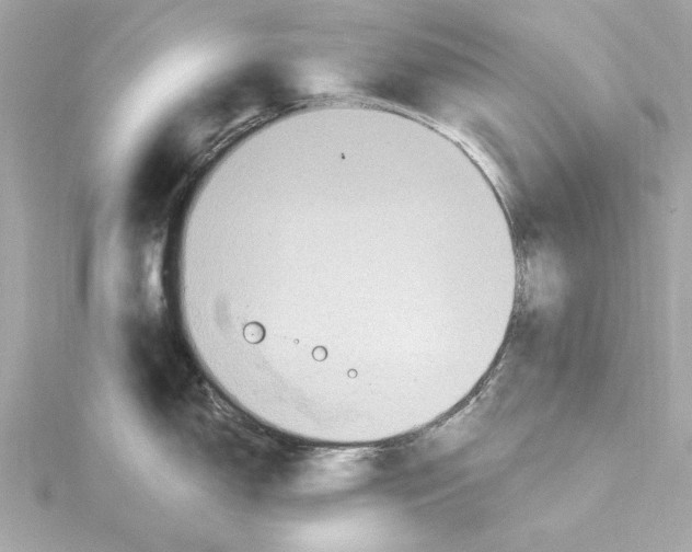 X0000115281150200911272001