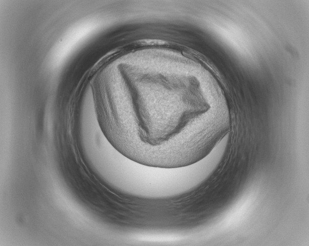 X0000115281151200911272001