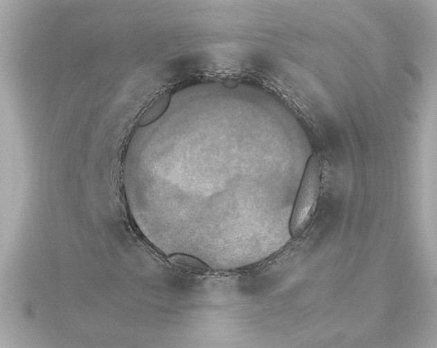 X0000115281153200911272001