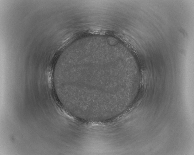 X0000115281154200911272001