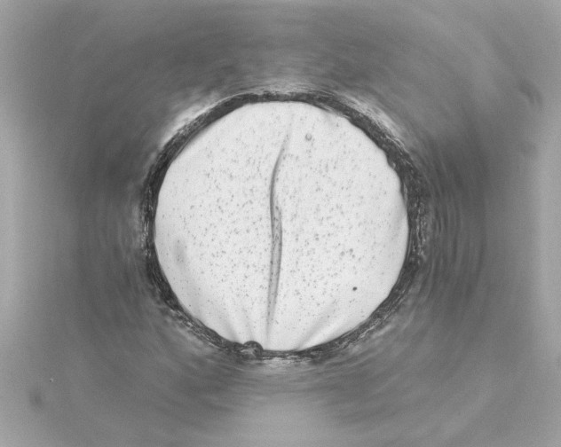 X0000115281160200911272000