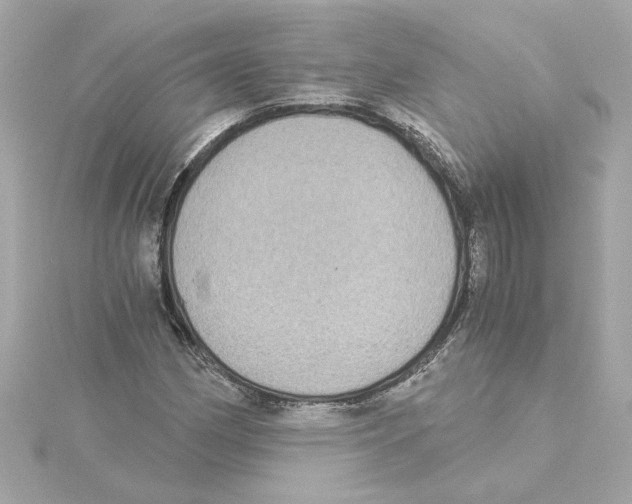 X0000115281162200911272000