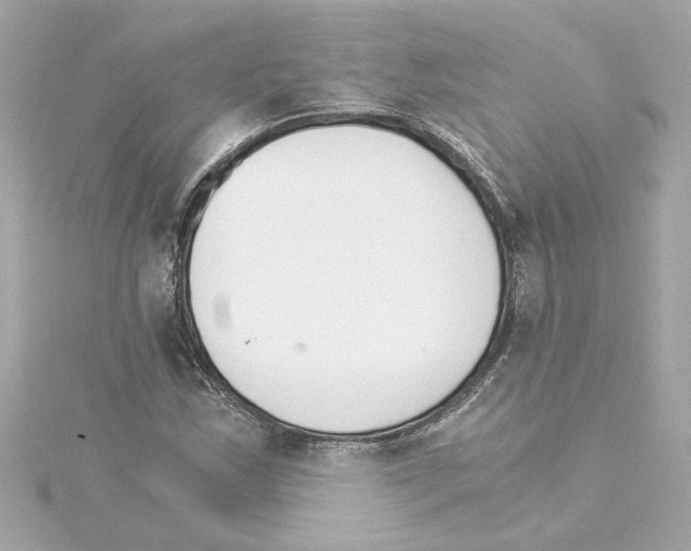 X0000115281163200911272000