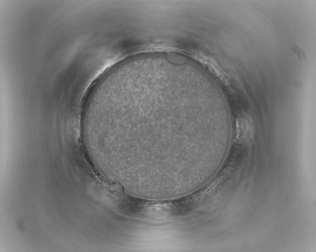 X0000115281165200911272000