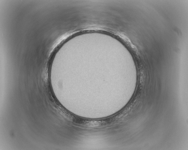 X0000115281167200911272000