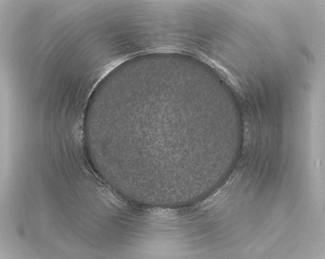 X0000115281170200911272000