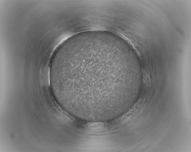 X0000115281171200911272000