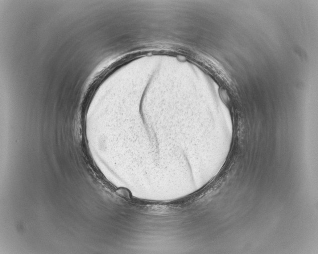 X0000115281172200911272000