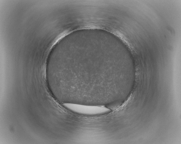 X0000115281173200911272000