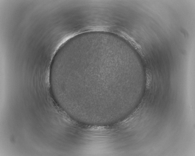 X0000115281174200911272000