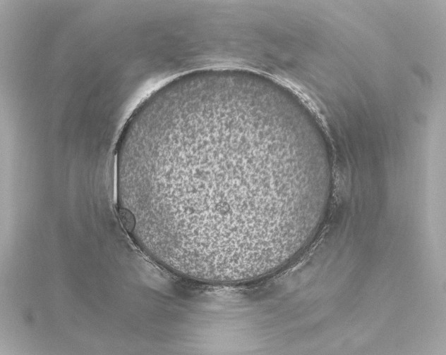 X0000115281175200911272000