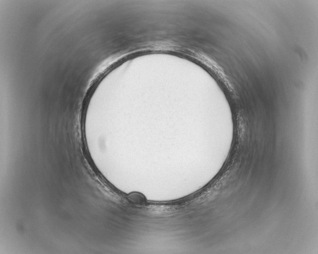 X0000115281176200911272000