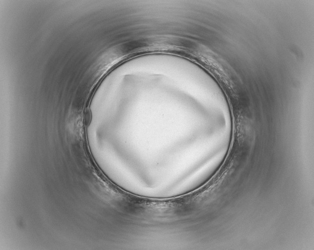 X0000115281177200911272000