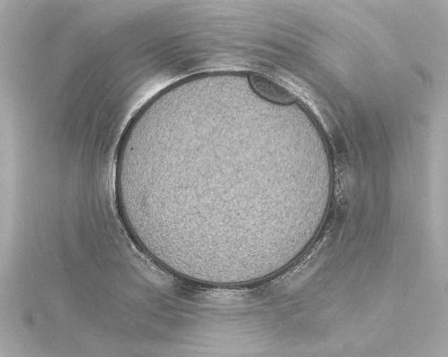 X0000115281179200911272000