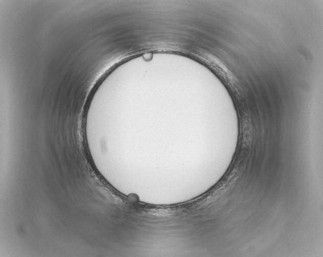 X0000115281182200911272000