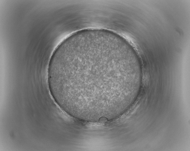 X0000115281183200911272000