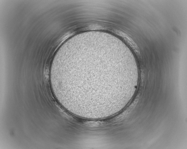 X0000115281185200911272000