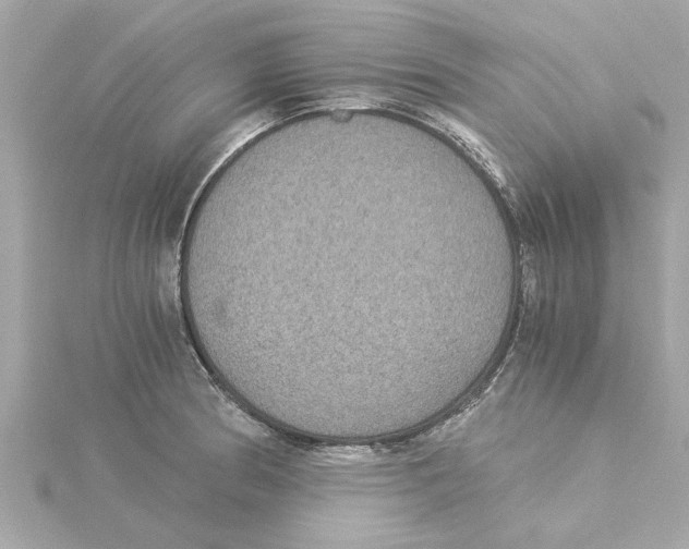 X0000115281186200911272000