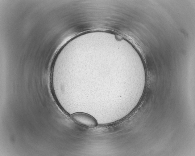 X0000115281187200911272000