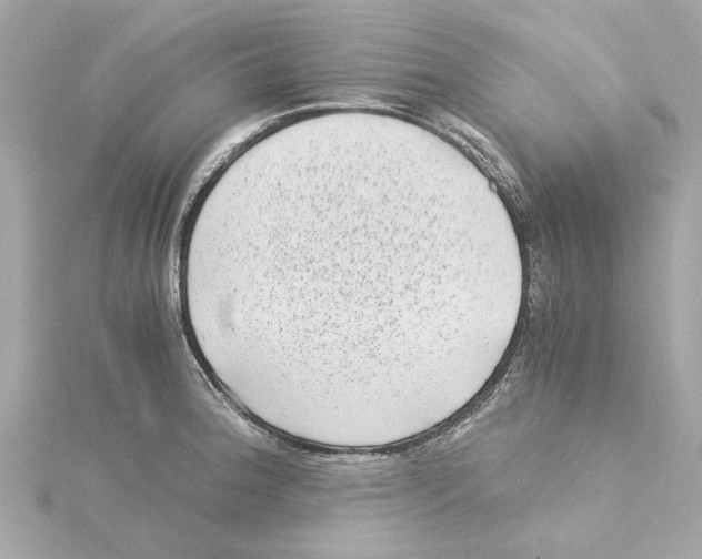 X0000115281188200911272000