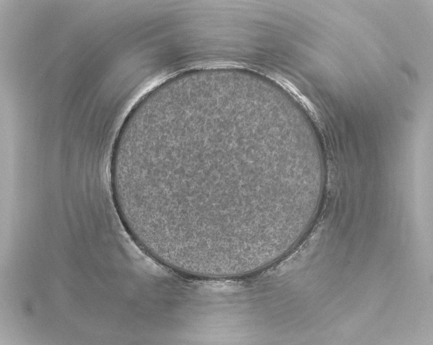 X0000115281189200911272000