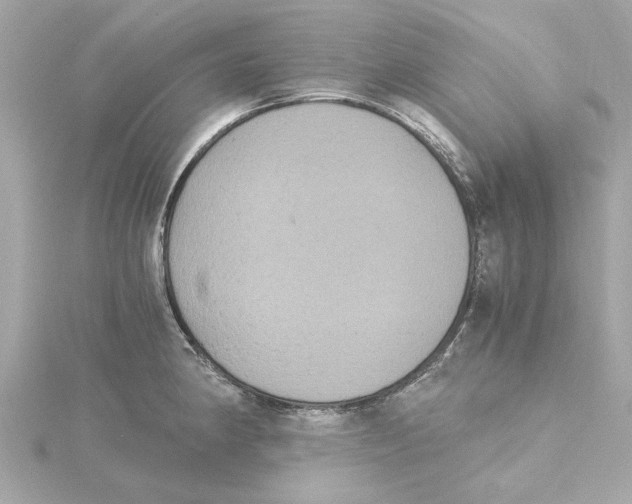 X0000115281190200911272000